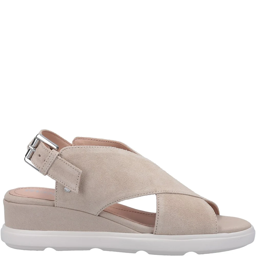 Geox D Pisa A Buckle Sandal - Image 4